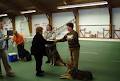 Sault Ste Marie Kennel Club image 6