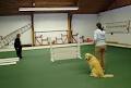 Sault Ste Marie Kennel Club image 1