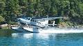 Seair Seaplanes Ltd image 1