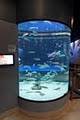Shaw Ocean Discovery Centre image 2