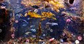 Shaw Ocean Discovery Centre image 3