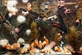 Shaw Ocean Discovery Centre image 5