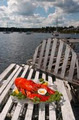 Shore Club Lobster Supper image 3