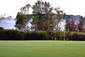 Stone Tree Golf & Fitness Club logo