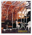 Sunview Solariums Ltd image 6