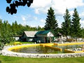 Takhini Hot Springs image 3
