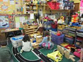 Tawa Montessori image 5