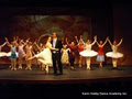 The Karin Hobby Dance Academy image 5