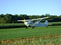 Tillsonburg Flying Club image 3