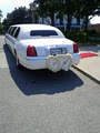 Toronto Airport Limo image 5
