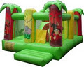 Toronto Inflatables Ltd. image 1