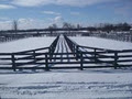 Total Equine Fencing image 1
