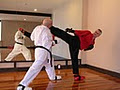 Total Martial Arts Centre image 5