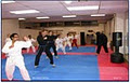 Total Martial Arts Centre image 6