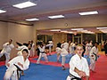 Total Martial Arts Centre image 1
