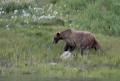 Tourism Canmore Kananaskis image 1