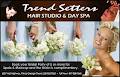 Trend Setters Hair Studio & Day Spa logo