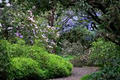 UBC Botanical Garden logo