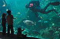 Vancouver Aquarium image 2