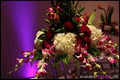 Wedding and Event Design: Melissa Andre image 3