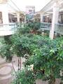 West Edmonton Mall image 5