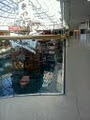 West Edmonton Mall image 1