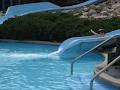 White Water Slide & RV Park image 2