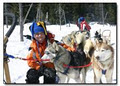 Winterdance Dogsled Tours image 3