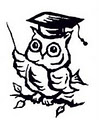 Wise Owl Tutors logo