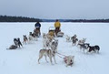 Wolf Within Adventures Dog Sledding Trips image 2