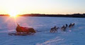 Wolf Within Adventures Dog Sledding Trips image 1