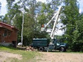 7 Oaks Tree Care and Urban Forestry Consultants Inc. image 2