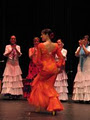 ALMA FLAMENCA - FLAMENCO music and dance classes, performances and workshops image 4