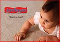 AM Steam Carpet & Upholstery Cleaning image 1