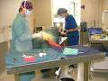 Abbotsford Veterinary Hospital image 6
