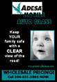 Adesa Winnipeg Auto Glass image 6