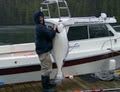 Adrenaline Sportfishing image 1