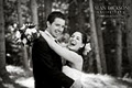Alan Dickson Photography Inc. image 2