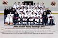 Alberni Valley Bulldogs image 1