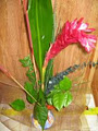 Amarys Flowers image 6