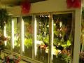 Ambiance Fleuriste image 5