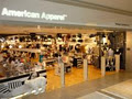 American Apparel image 5