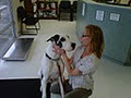 Anderson Veterinary Clinic image 1