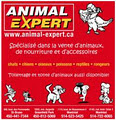 Animal Expert Maisonneuve Inc image 5