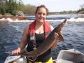 Anishinabek Ontario Fisheries Resource image 5