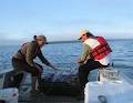 Anishinabek Ontario Fisheries Resource image 6