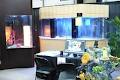 Aquarium Designs Unlimited image 1