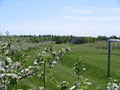 Archibald Orchards and Estate Winery image 2