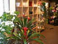 Art's Flowers Ltd image 2