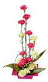 Art's Flowers Ltd image 5